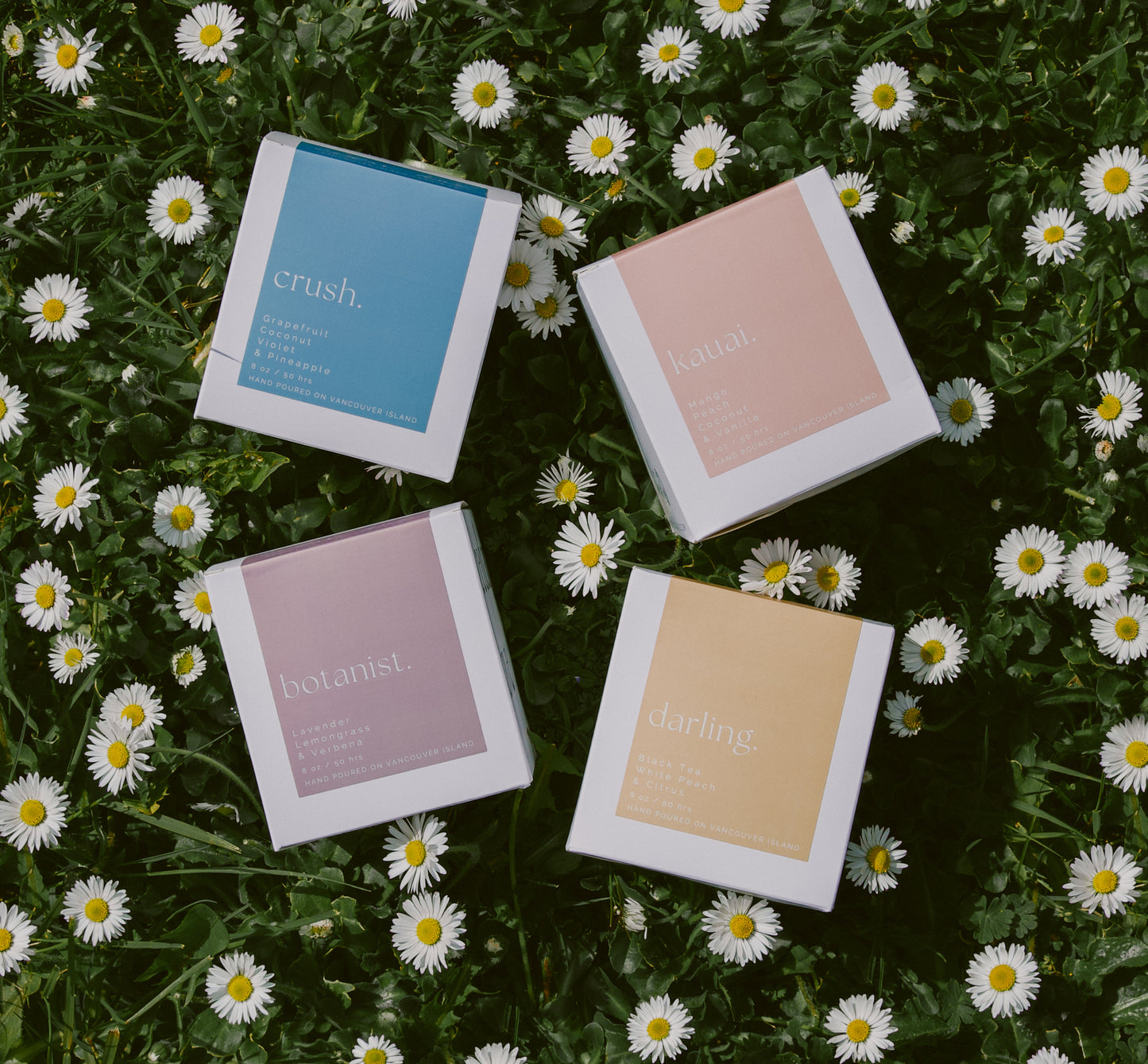 bloom bundle.